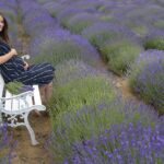L’Alimentation Anti-Inflammatoire pour les Femmes Enceintes : Un Guide Essentiel